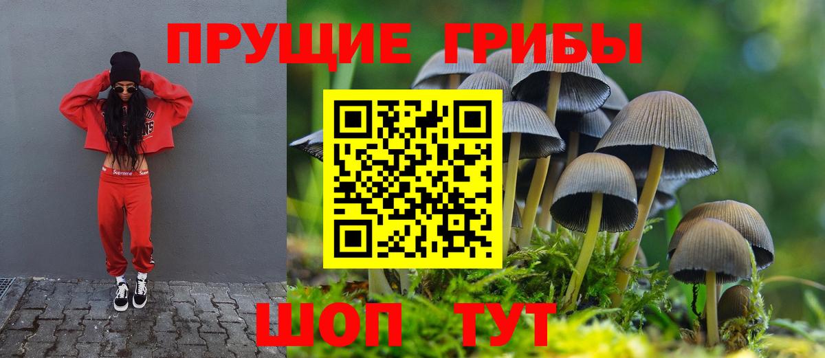 Галлюциногенные грибы Psilocybe  Псилоцибиновые грибы мухоморы  Ноябрьск  Вход с VPN 