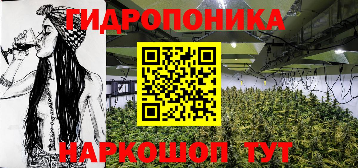 Каннабис OG Kush Ноябрьск